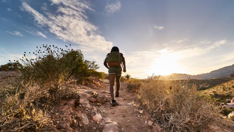 main of Hiking Is a Hobby Enjoyed By Many People