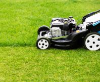 thumbnail of There's a Lawn Mower That Perfectly Fits Each Lawn