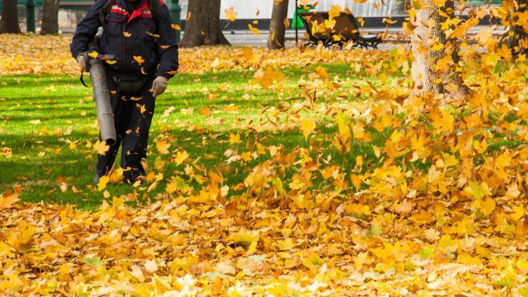 main of A Powerful Leaf Blower Will Reduce Chore Times 