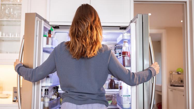 main of he Household Refrigerator Is Arguably the Most Important Appliance in the Home