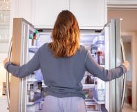 thumbnail of he Household Refrigerator Is Arguably the Most Important Appliance in the Home